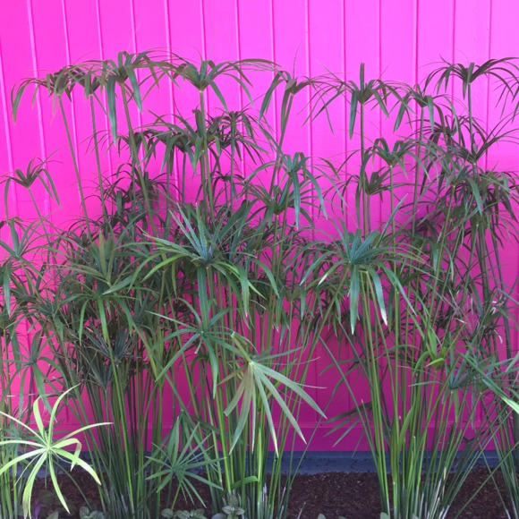 Meet your Posher, Leslie - Picture 1 of 1